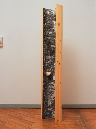 Untitled (Birch Bark column) right view
